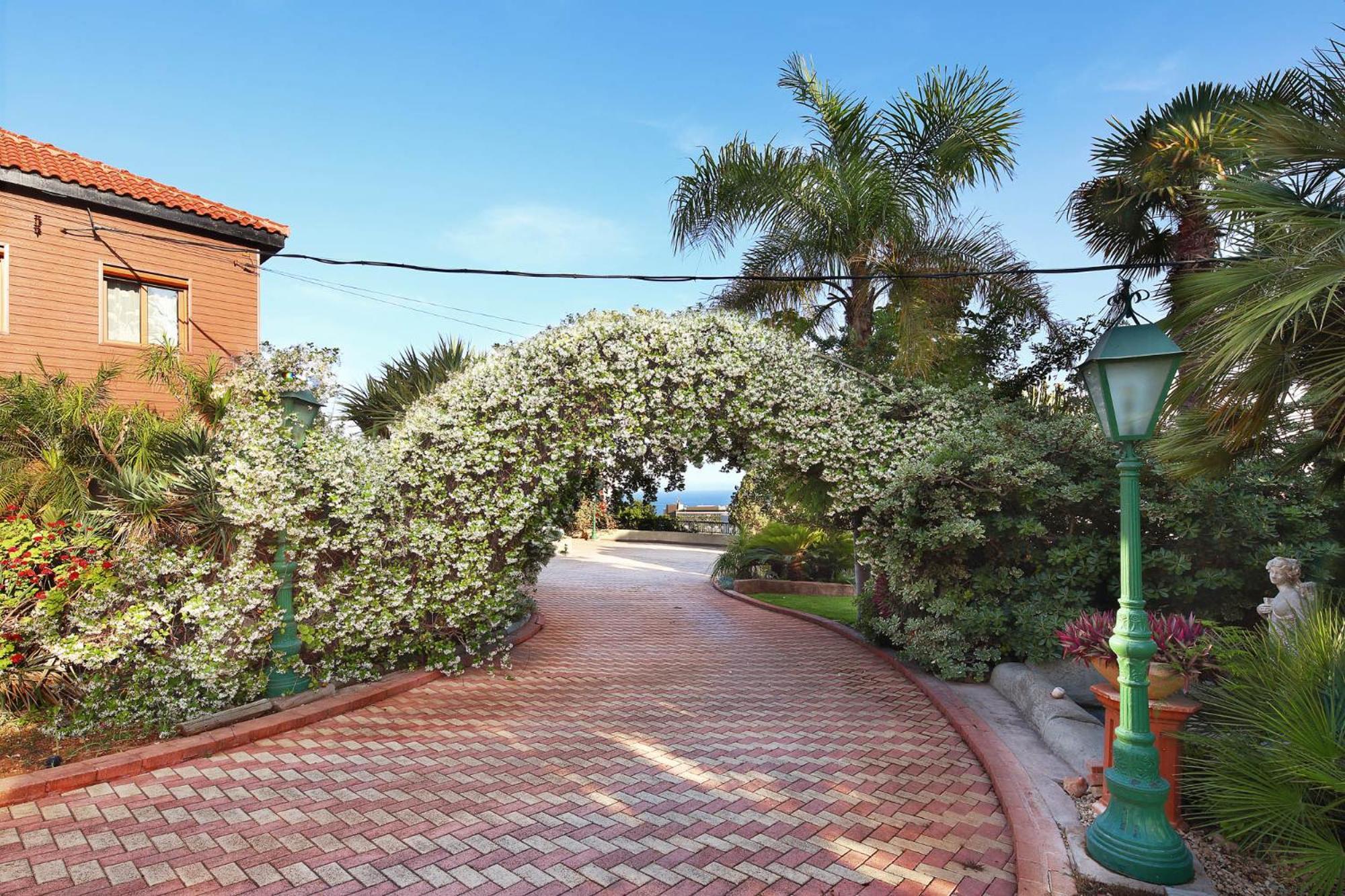 Olive Tree Apartment *