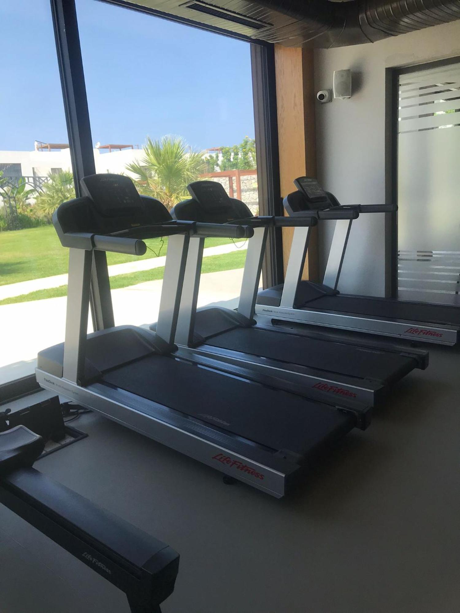 Apartment The Olive Beachfront & Kalogrea