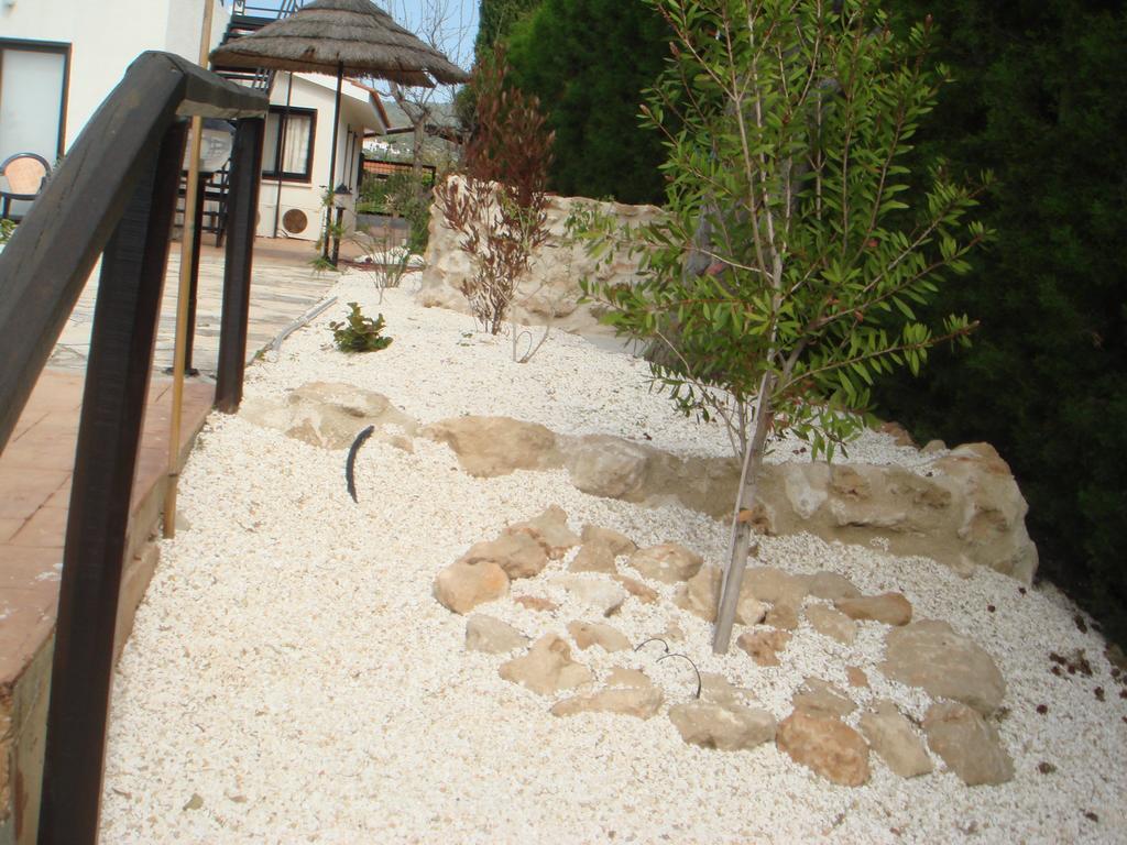 Anna Maria Villa