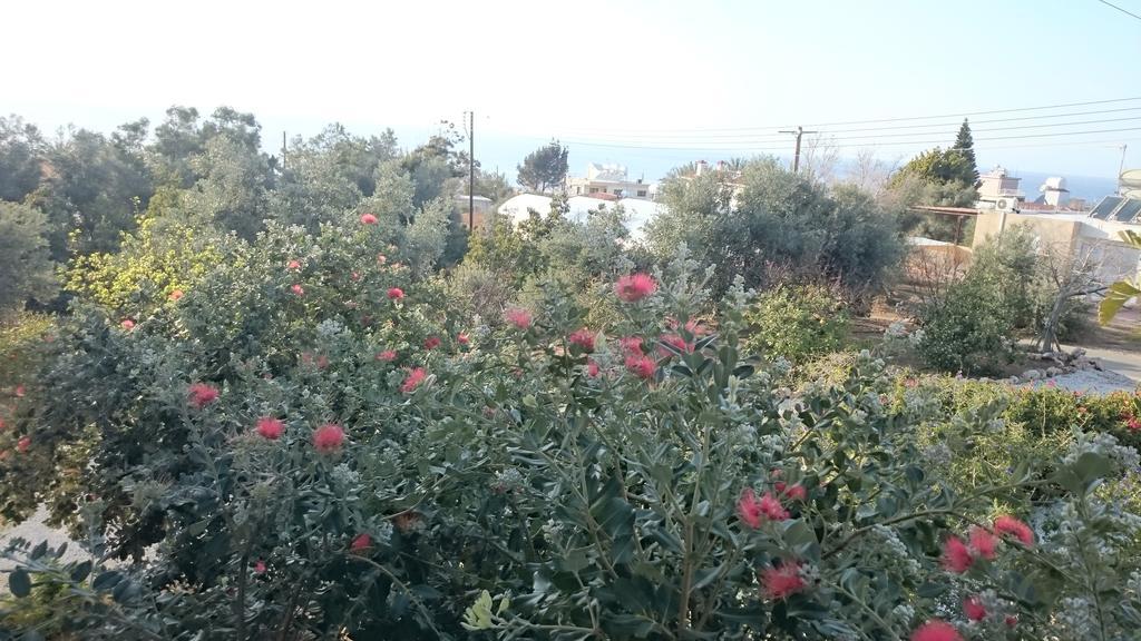 Maritsa's Roses Apartamento Pomos