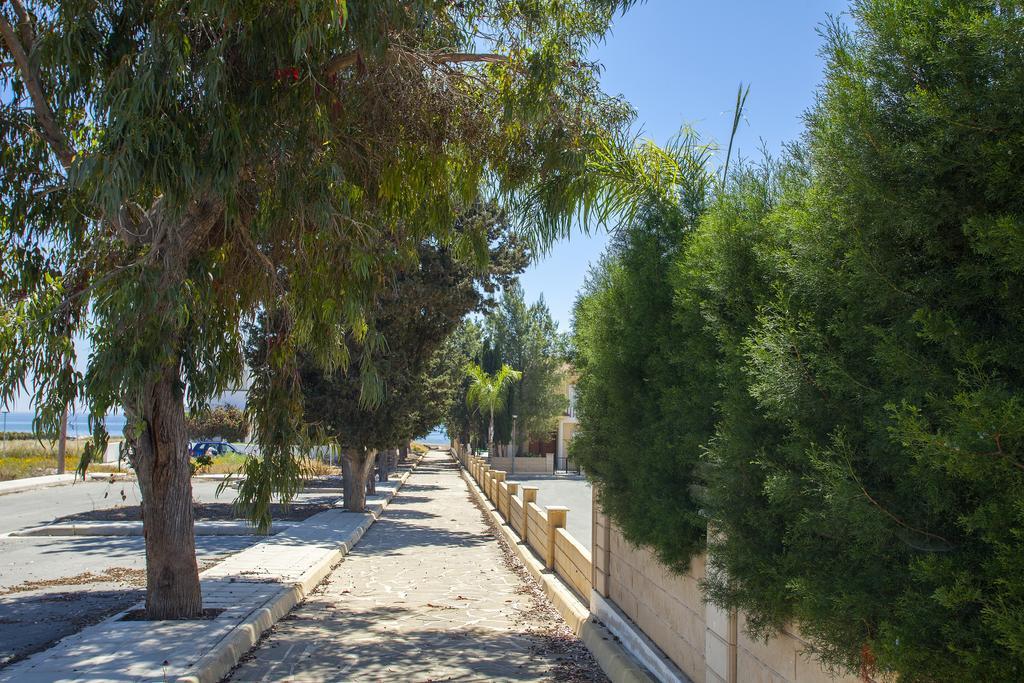 Larnaca Marina Meneou