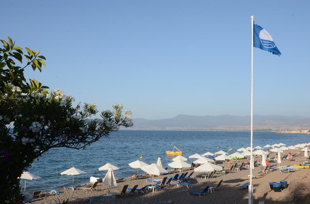 Amarakos λειτουργεί υπό νέα διεύθυνση