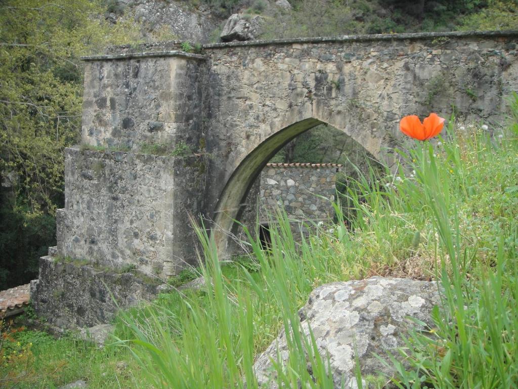 Country house Archontiko I Misirlou Kalopanagiotis