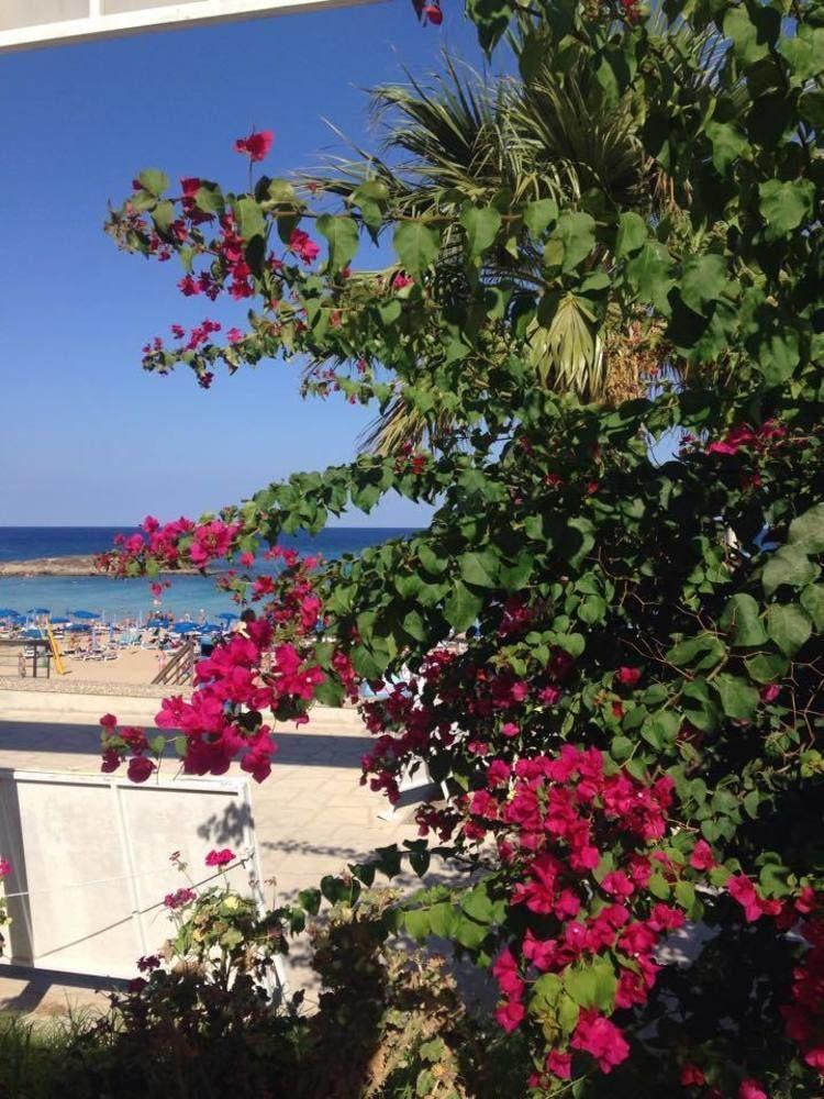 Blue Peter 3* Protaras