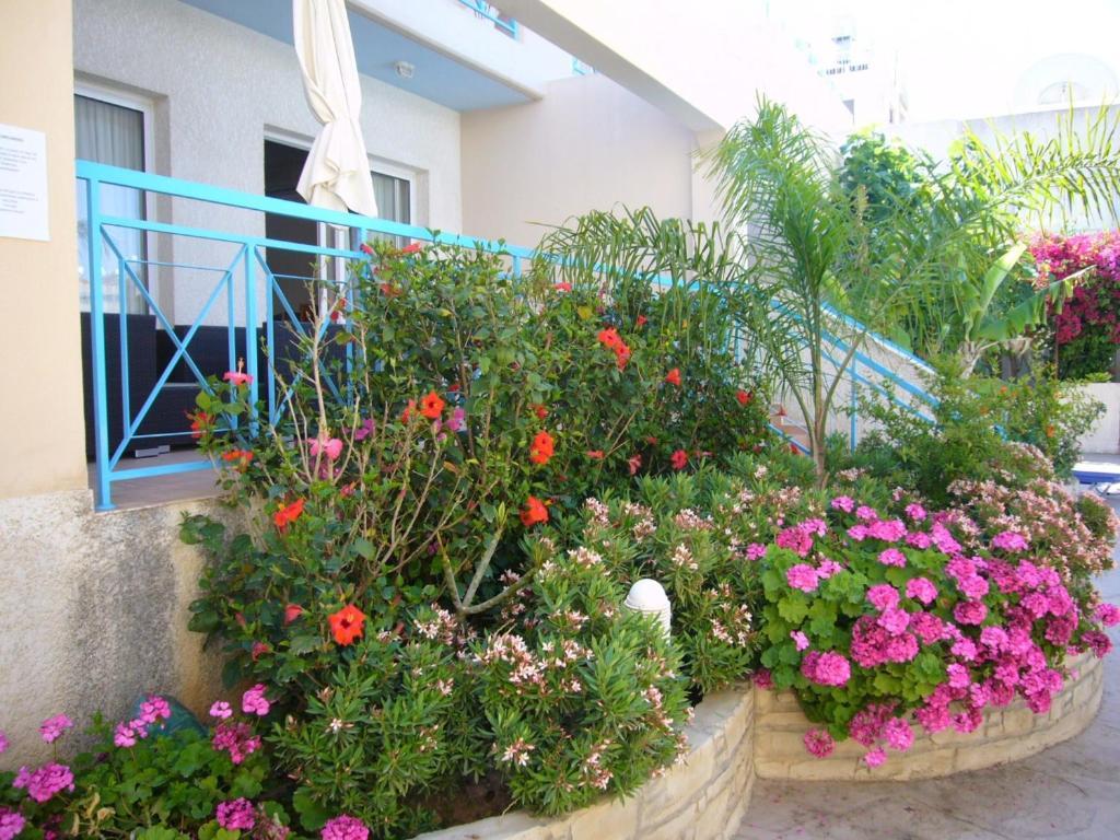 Blue Oasis Gardens * Limasol