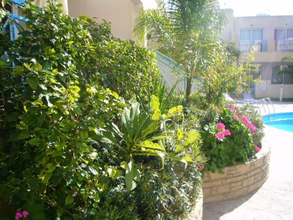 Blue Oasis Gardens Appartement