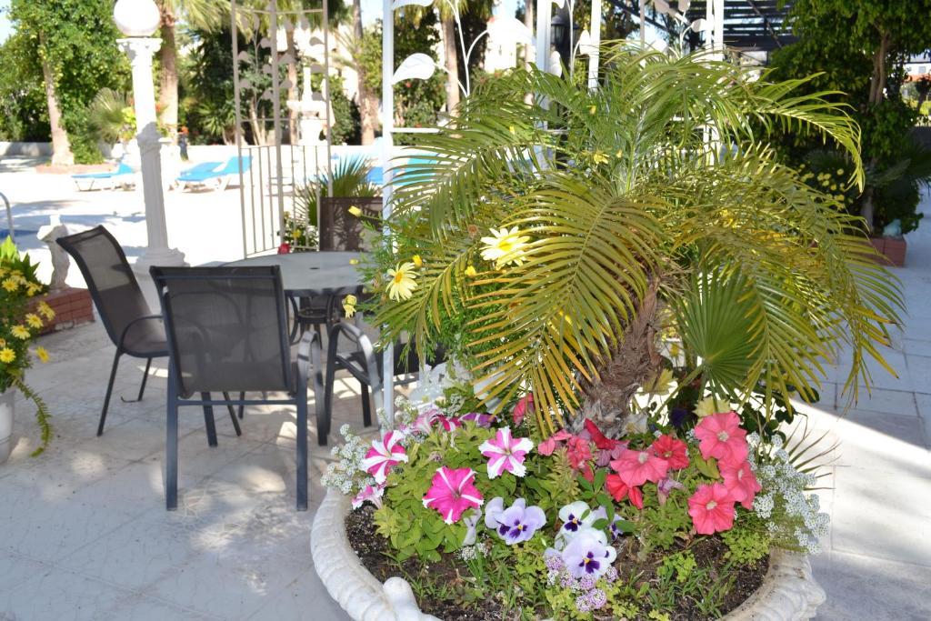 Tasiana Star 3* Limassol