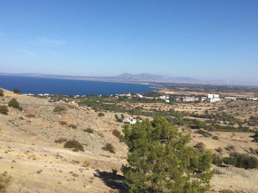 Aphrodite Beachfront