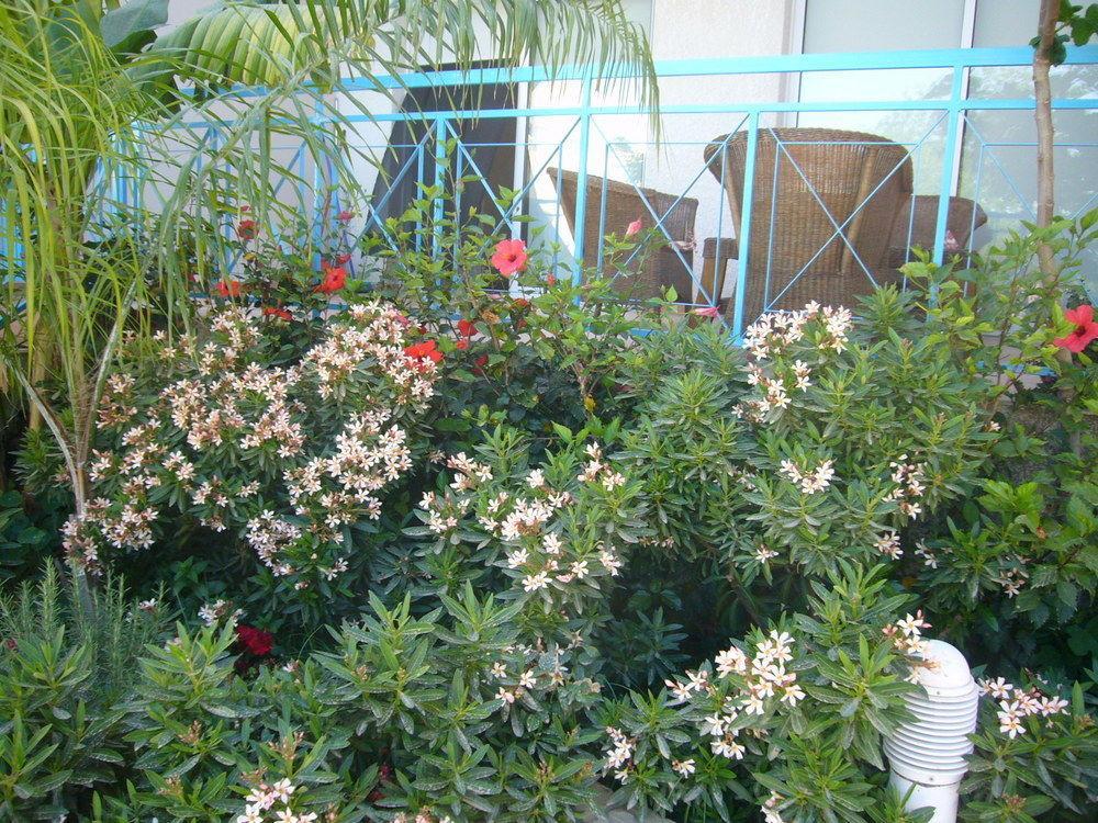 Blue Oasis Gardens