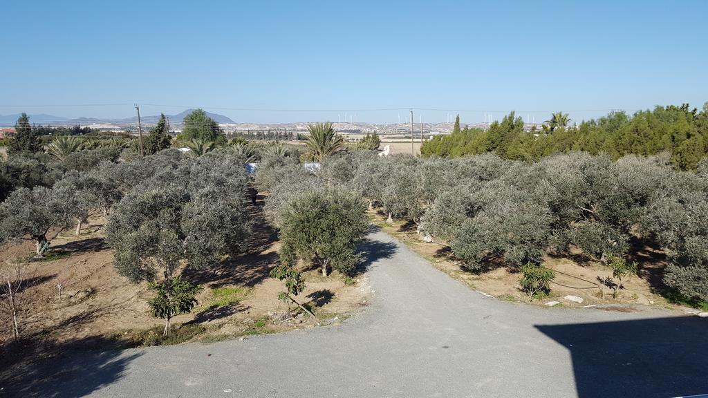 Villa Village Villa, Cyprus, Salt-water Pool, 6 Bedrooms, Larnaca Kiti