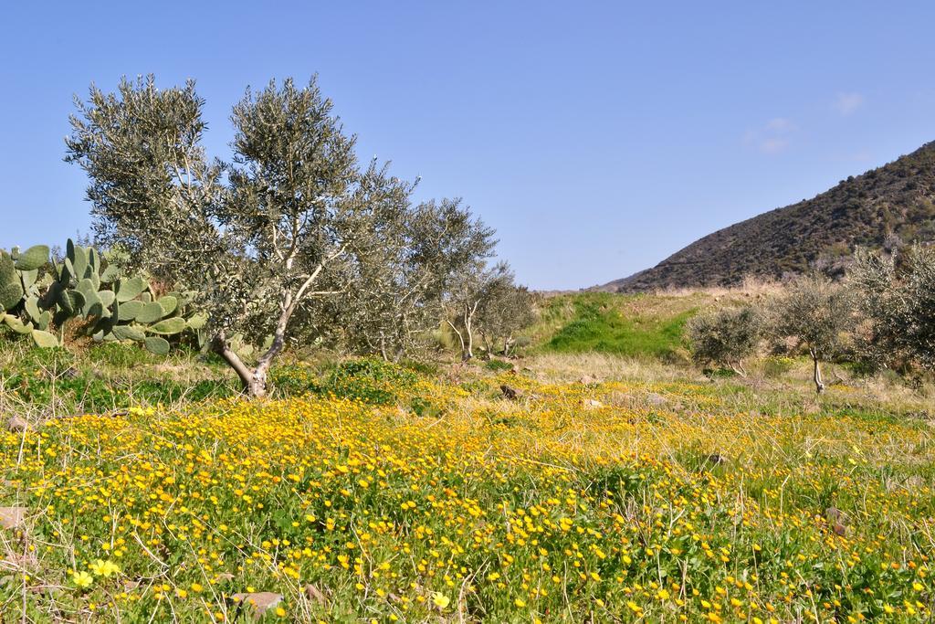 Villa Fata Morgana *