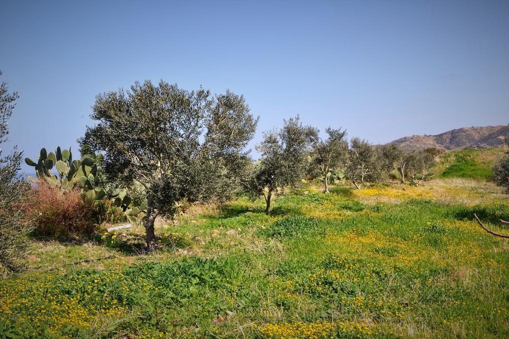 Villa Fata Morgana *