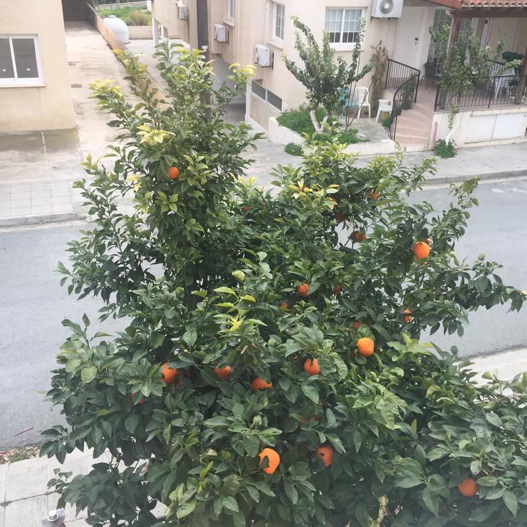 Mariko Apartment Larnaca