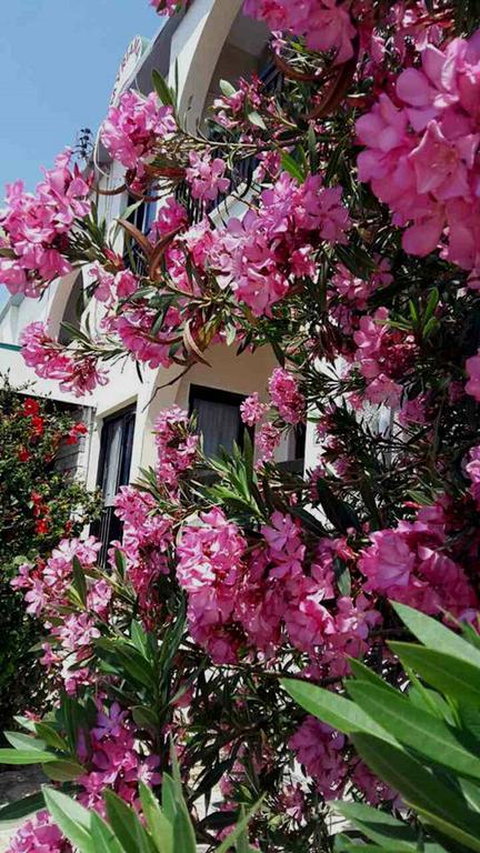 Myriama *