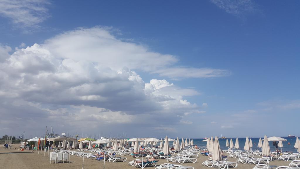 Alex 31 Appartement *