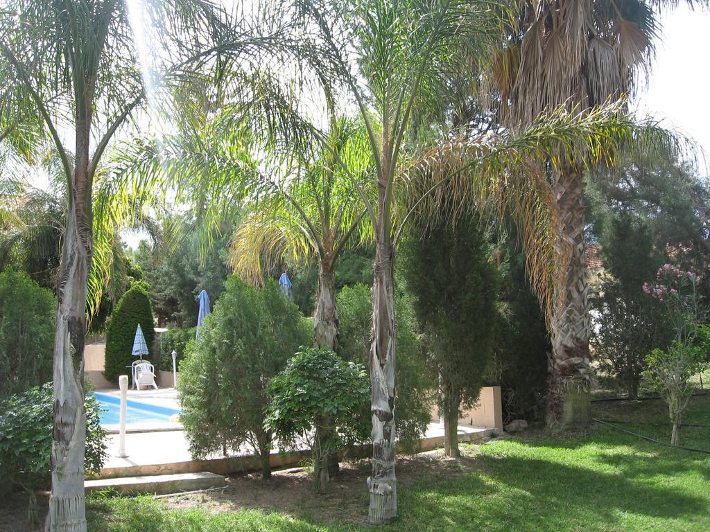 Zena * Pissouri