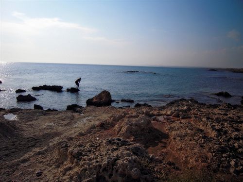 Pyla View Villas, Larnaca 4*