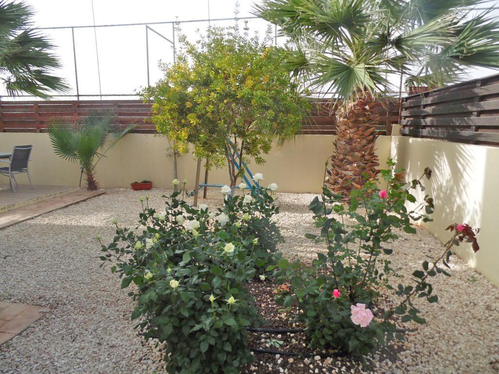 Favor - 3 Bed With Pool Close To Nissi