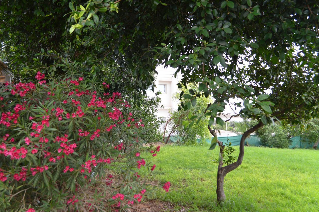 Chrysland Apartamento Agia Napa