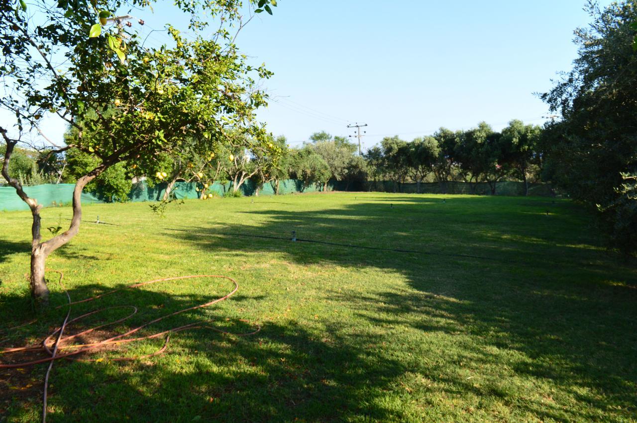 Apartamento Chrysland *