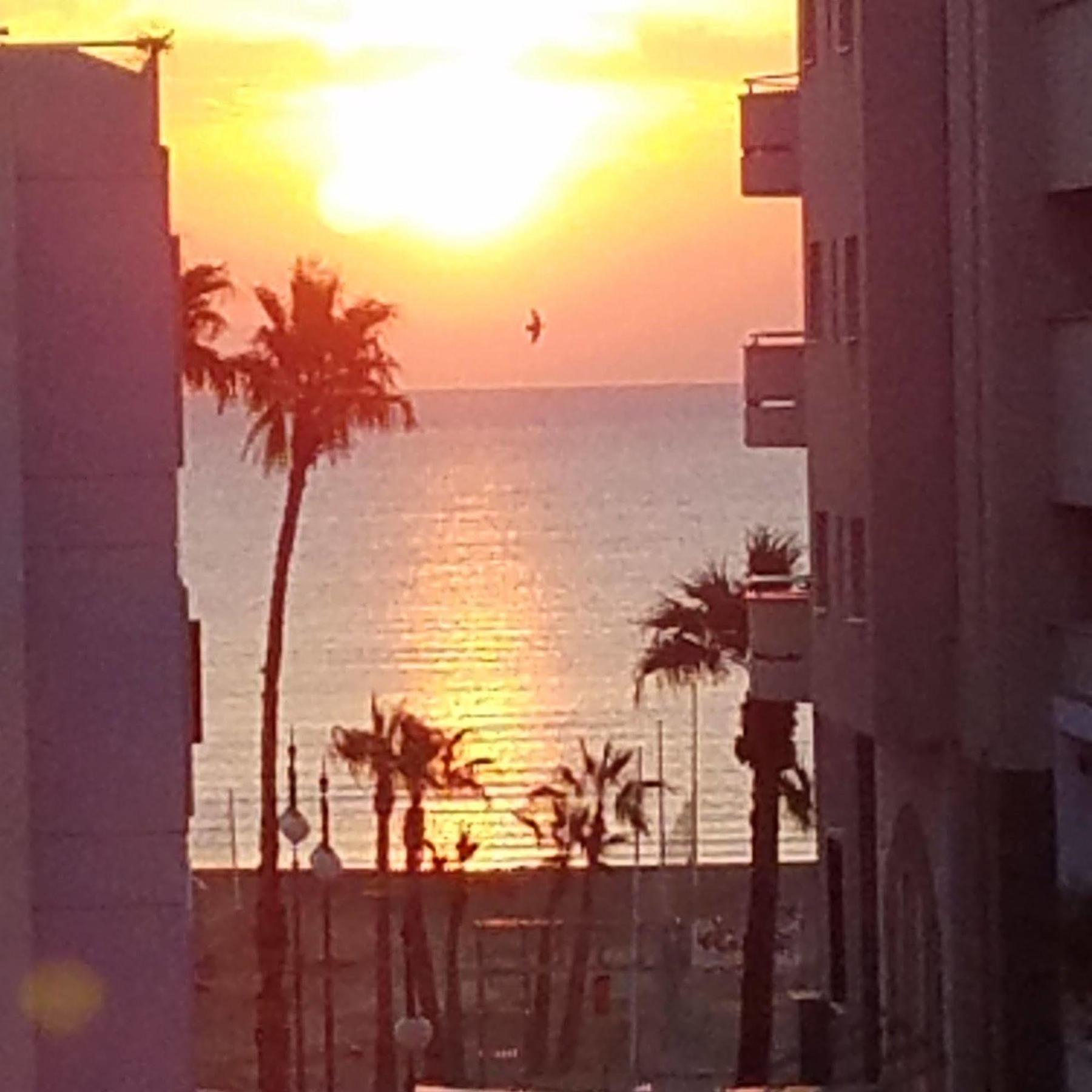 Aparthotel Atrium Zenon Larnaca