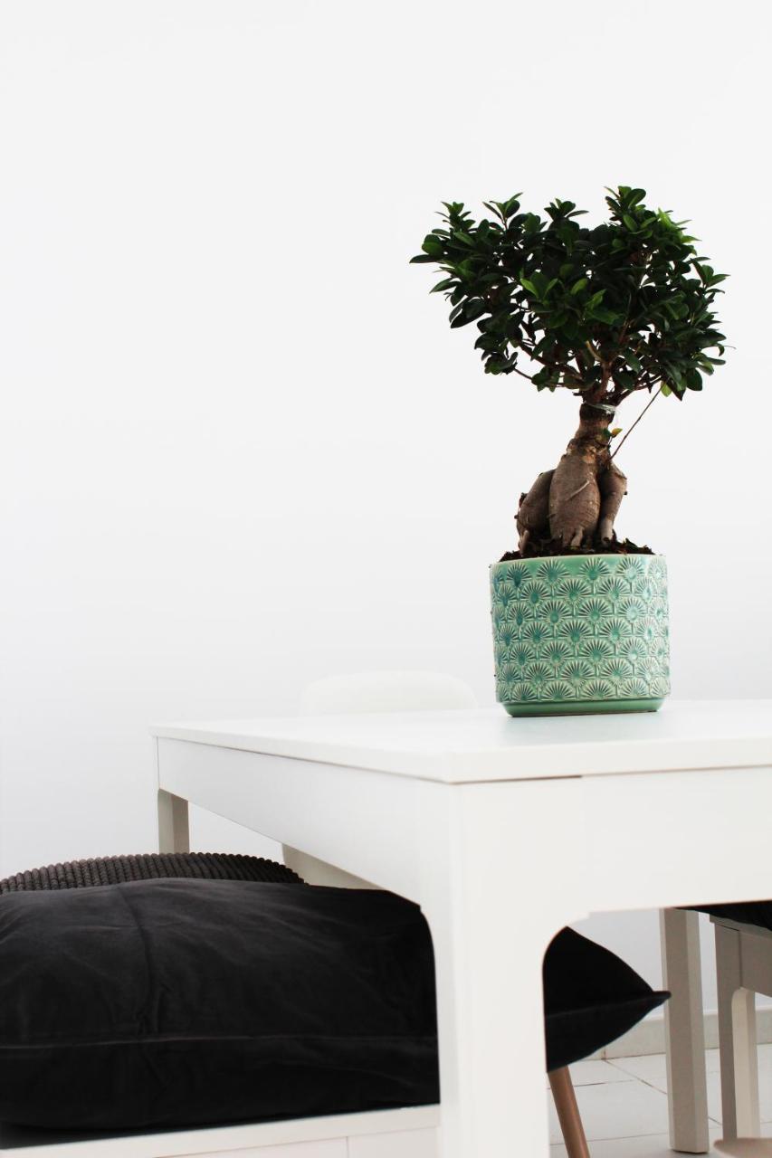 Apartment Olosuites