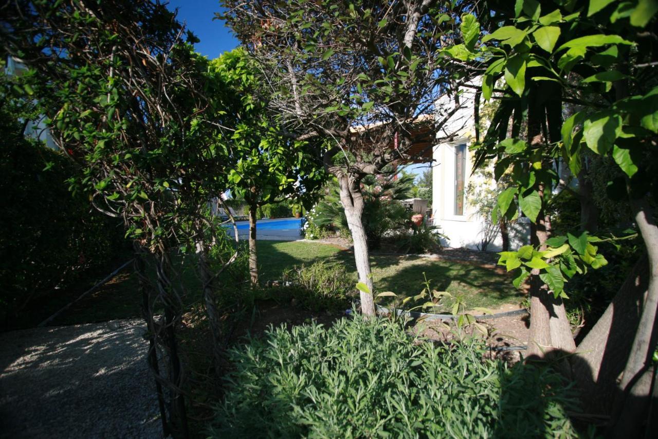 Villa Sofia Neo Chorio