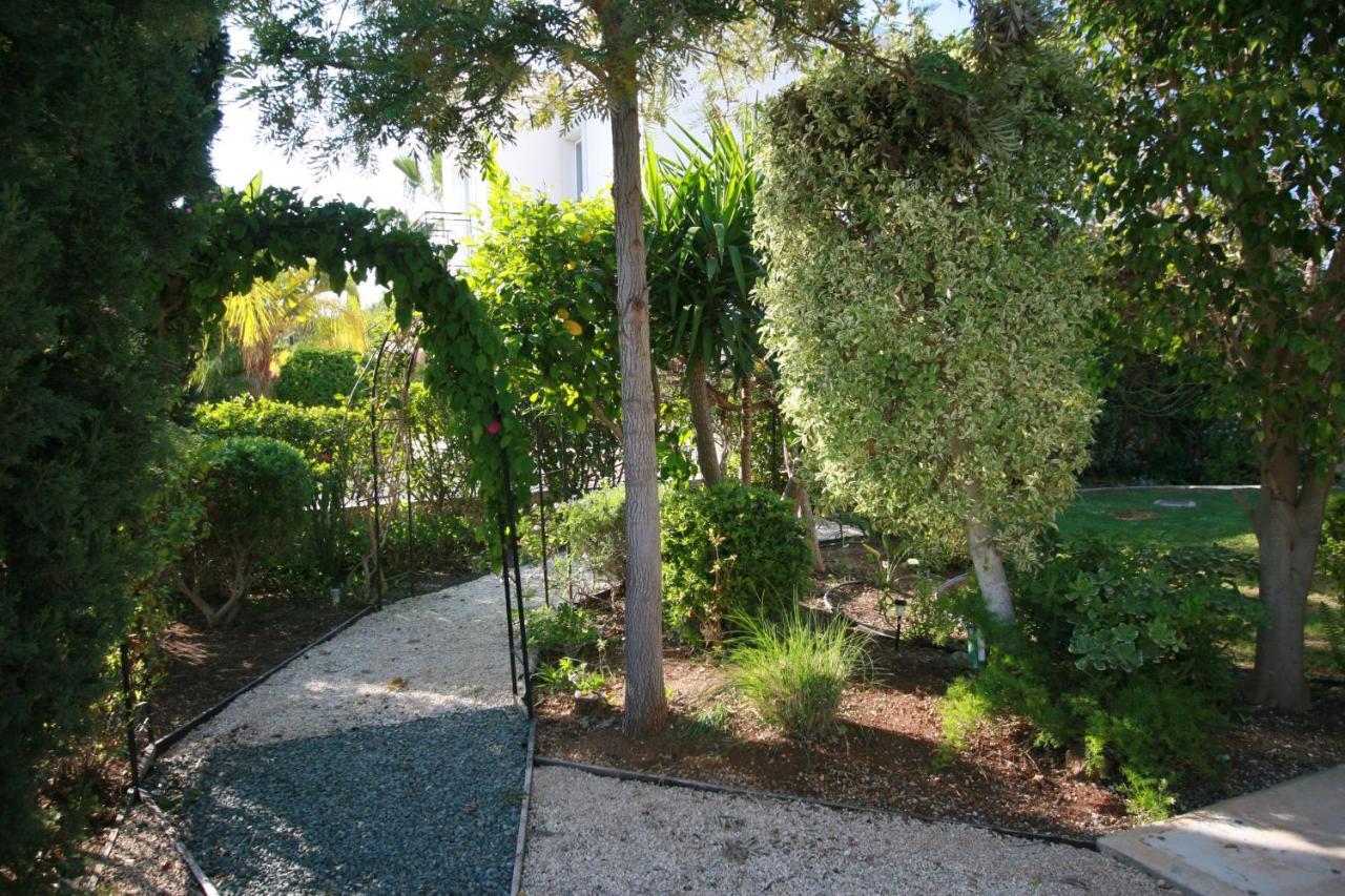 Sofia Villa *