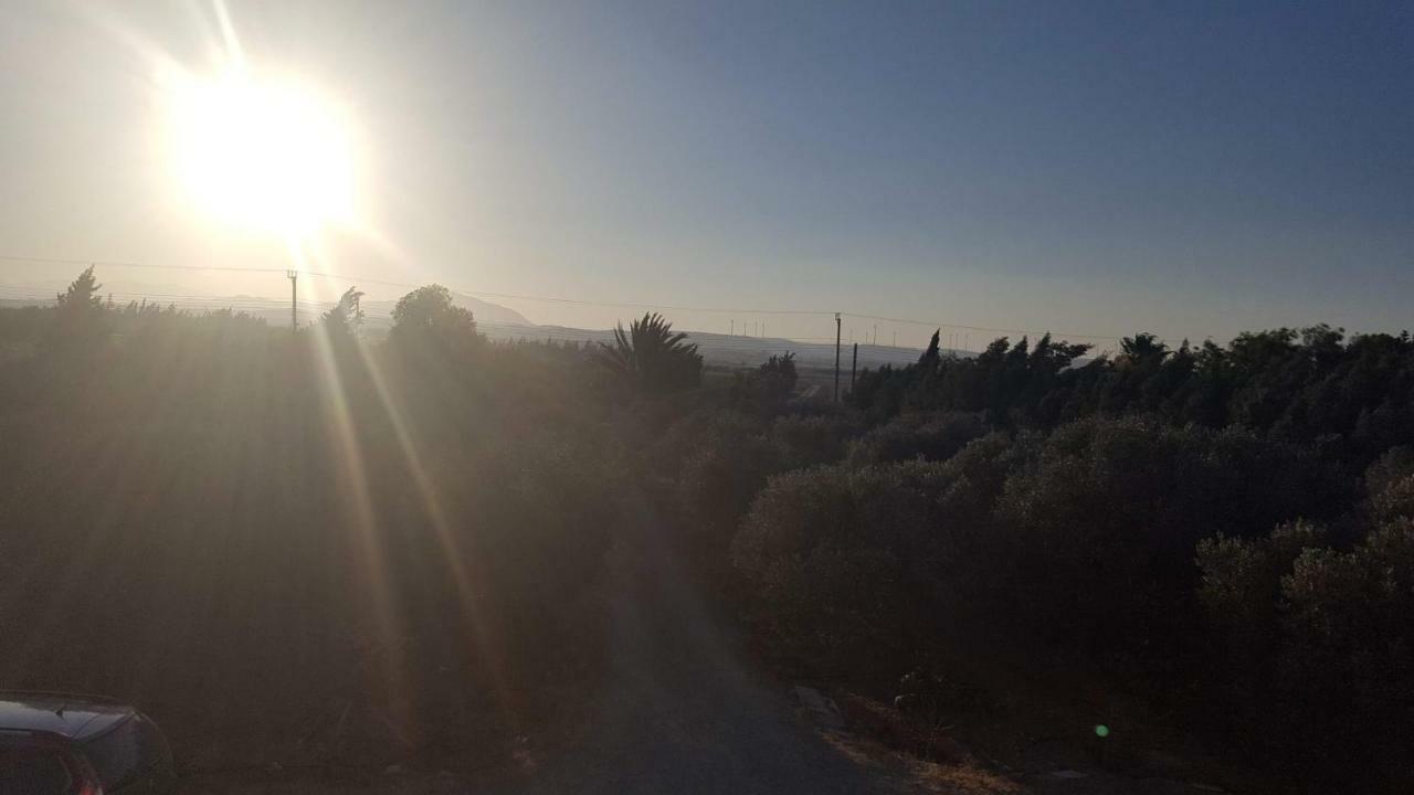 Village Villa, Cyprus, Salt-water Pool, 6 Bedrooms, Larnaca
