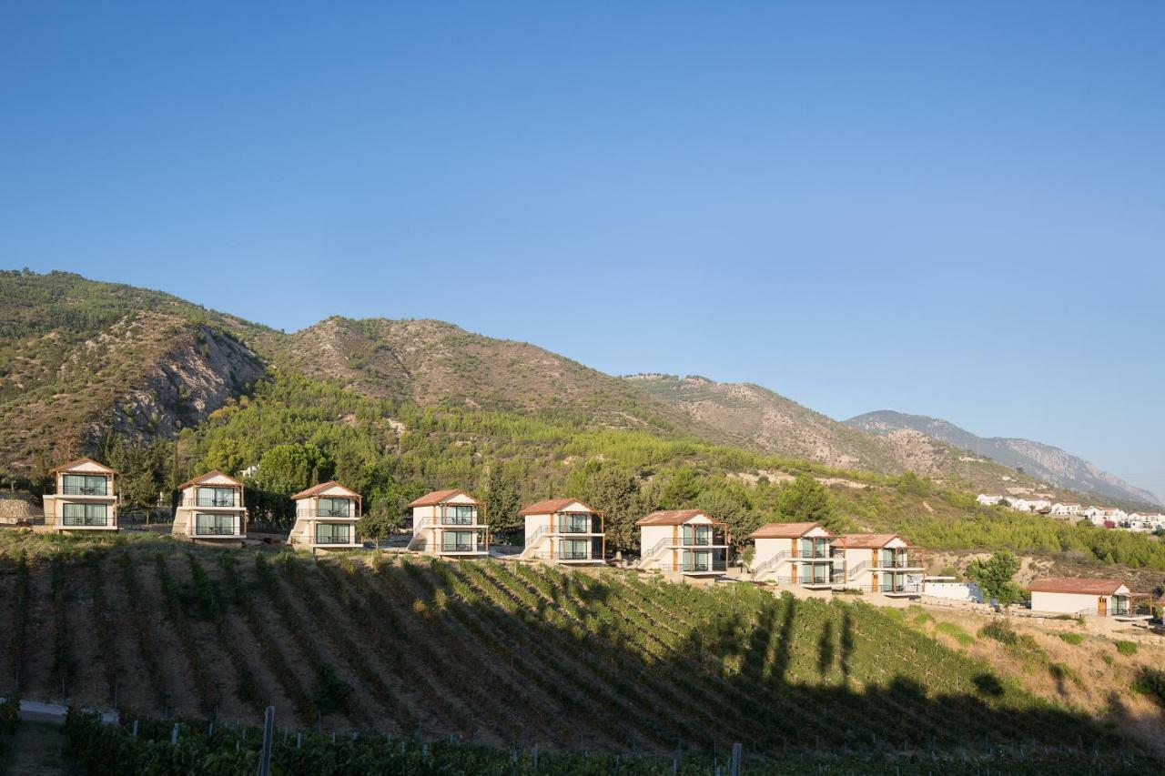 Gillham Vineyard Hotel Templos