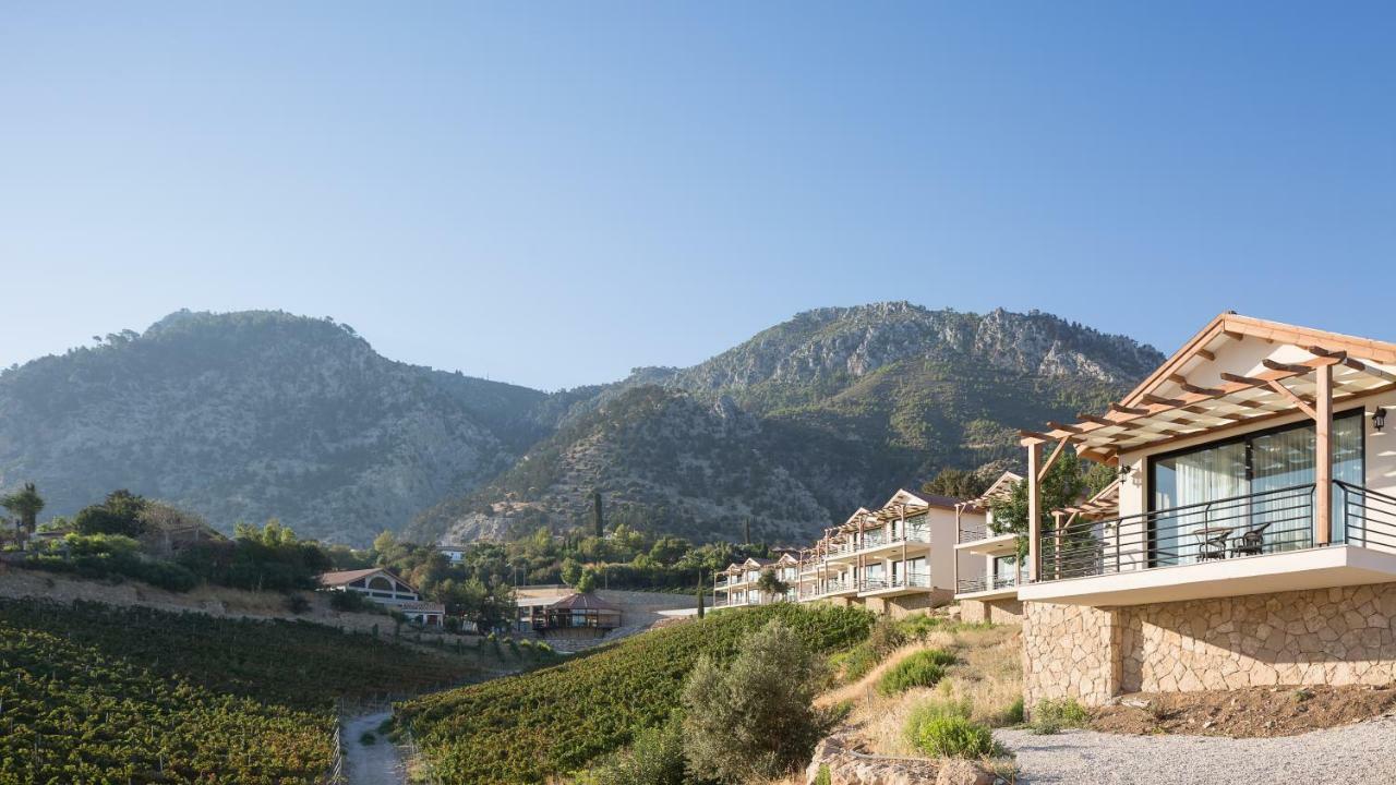 Gillham Vineyard 5* Templos