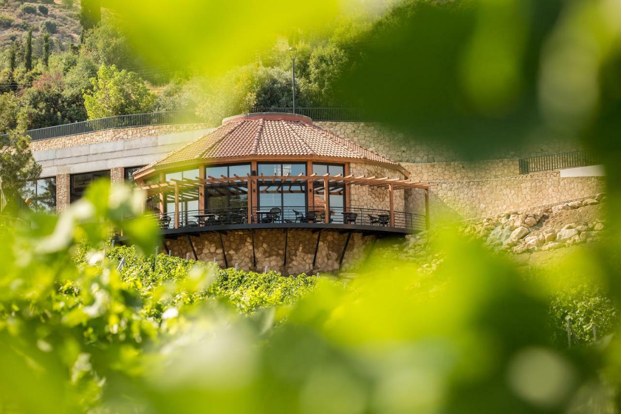 Hotel Gillham Vineyard Templos
