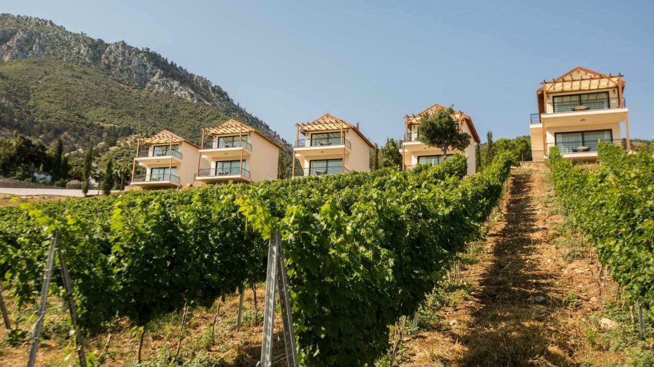 Gillham Vineyard Hotel
