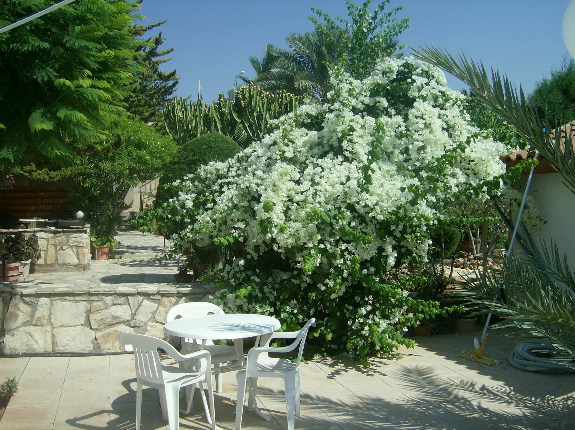 Aparthotel Rantzo Pissouri