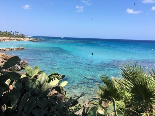 Villa Palma 14 Protaras