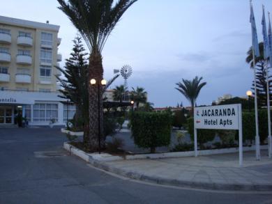 Jacaranda