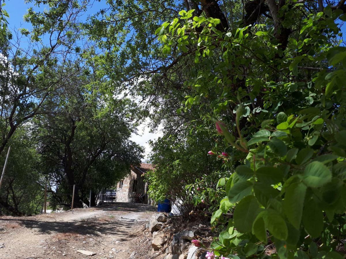 Agrompelo House * Agros