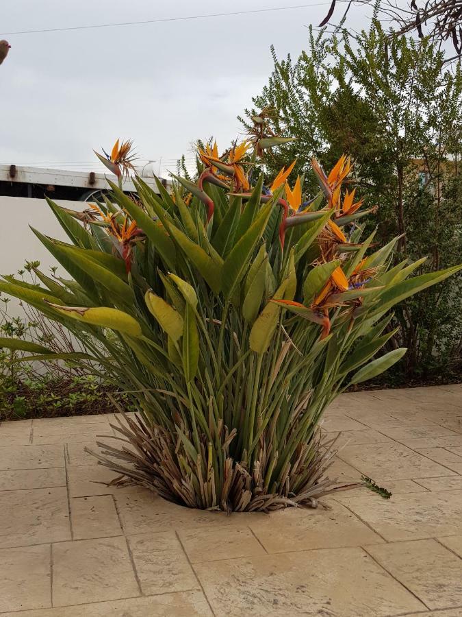 Holiday home Olgas Agia Marina (Northern Cyprus)