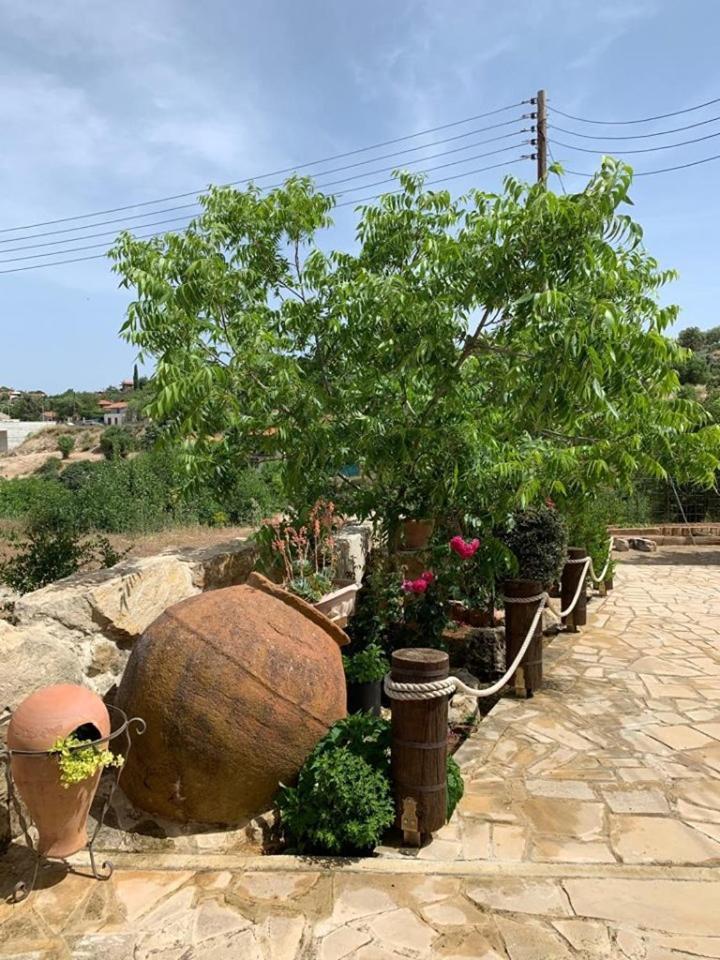 Traditional House Lofou