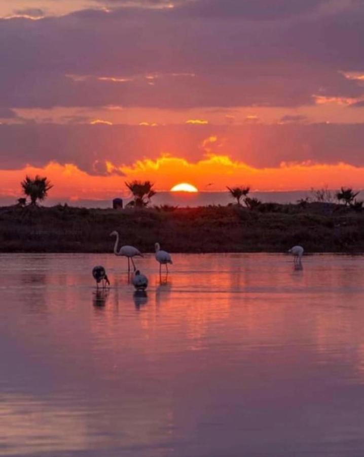 Mariko Larnaca
