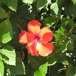 Amalthia Villas