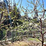 Agros Green Valley Suites