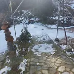 Mountain View Ioannis Ylation Saranti