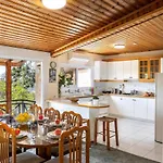 Platres Forest Panorama Cottage