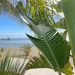 Lebay Beach Hotel