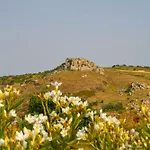 Villa Angelena