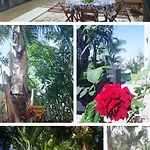Garden Art