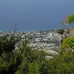 Antonakis 501
