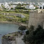 Antonakis 501