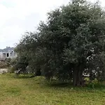 Suluca Homes